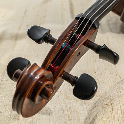 Cello Schnecke