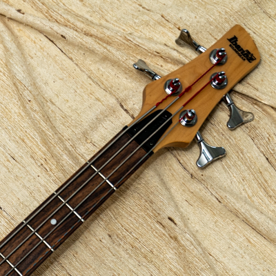 Bass-Gitarre Hals